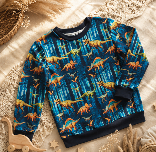 Bluza dziecięca Dino – odzież dziecięca premium szyta w Polsce | Little Atelier